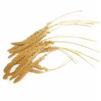 Laroy Trosgierst franse geel 1 kg