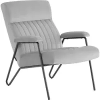 Notio Living Ronda-Fauteuil in fluweel grijs