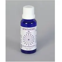 Vita Syntheses 70 spijsvertering enzym 30 ml