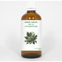 Balance pharma Gemmo simplex 19 ilex aquifolium 100 ml