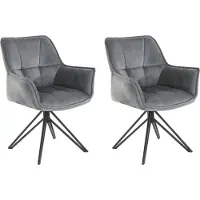 Loft 24 Ciana-Armstoel - Grijs - Set van 2