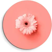 KitchenArt - Coral Gerbera – Muurcirkel Binnen - ø 80 cm - Wandcirkel - Mét Ophangsysteem - Wanddecoratie - Muurdecoratie