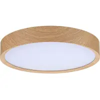Paulmann Selection Bathroom LED-plafondlamp Tega IP44 White Switch 1200lm 230V 22,5W Houtlook