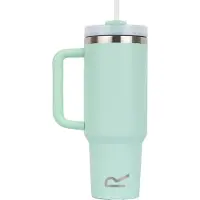 Regatta Thermulate Geïsoleerde 1.2L Reismok (Pastelgroen)