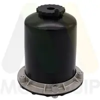 MOTAQUIP LVFF864 Brandstoffilter