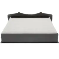 Champion CCF0132 Interieurfilter