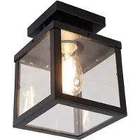 QAZQA Industriële slimme buitenplafondlamp zwart incl. ST64 Wifi - Rotterdam