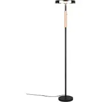 TRIO LED-vloerlamp Celeste, dimbaar, zwart, Woon-/ Eetkamer, metaal, Modern, LED vloerlamp