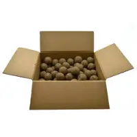 Wielink Mezenbol - vetbol zonder netje voor vogels (100 stuks) 100 stuks
