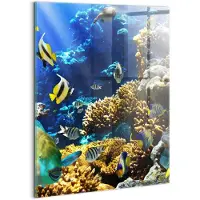 Wallfluent Glasschilderij - Foto van vissen op een koraalrif. Foto Op Glas - 60x80 cm - Veelkleurig Verticale Muurschildering - Dieren Schilderij Op Glas - Glazen Schilderij - Schilderij Glas