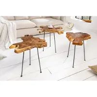 Invicta Unieke bijzettafel WILD 40 cm teakhouten salontafel - 36578