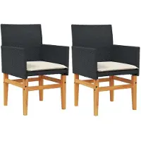 vidaXL Tuinstoelen 2 st met kussens poly rattan en massief hout zwart