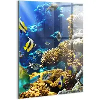 Wallfluent Glasschilderij - Foto van vissen op een koraalrif. Schilderij Glas - 70x100 cm - Veelkleurig Verticale Muurschildering - Dieren Glas Foto - Glas Schilderij - Foto Glas
