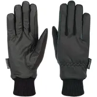 Harry's Horse Harrys Horse Handschoenen TopGrip Winter zwart xxs