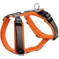 Hunter Hondentuig Maldon Up Oranje Maat M