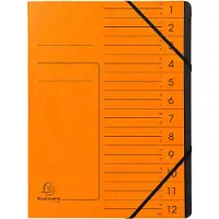 Exacompta 541204E, Project folder, A4, Karton, Oranje, 355 g/m², Elastische band