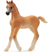 Schleich HORSE CLUB - Arabisch veulen - 13984