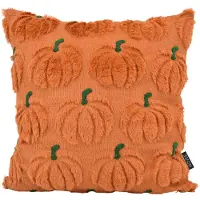 NOVÉE Furry pumpkin | 45 x 45 cm | kussenhoes | polyester