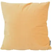 Gek op kussens! Velvet boter | 45 x 45 cm | kussenhoes | velvet/polyester