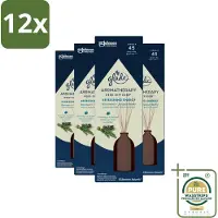 Glade - Geurstokjes Verfrissende Energie - Aromatherapie Geurverspreiding - 80 ml - Voordeelverpakking - 12 stuks - Energie - Geur