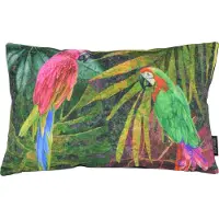 Gek op kussens! Velvet parrot long | 30 x 50 cm | kussenhoes | velvet/polyester