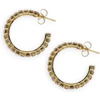 LOTT. gioielli Dames Sieraden Ce Sw Creole W/ Fine Stones S - Goudkleurig - Maat ONESIZE