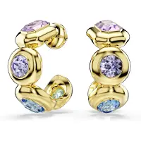 Swarovski - Oorbellen Voor Dames