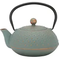 Bredemeijer - Theepot Anhui 0,9L gietijzer blauw met filter - theezeef