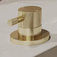 Saniclear Brass Curved hendel voor Bond wastafelkraan (SK111643)