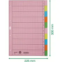 Leitz Blanco Tabbladen A4 Kleurenassortiment 10 tabs Karton 4 Gaten 4340