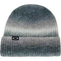 Oakley Apparel Ellipse Gradient Muts Grijs