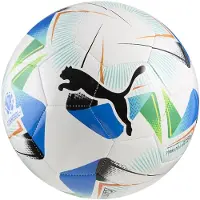 Puma Cumbre Conmebol Libertadores Ms Football Ball Wit 5