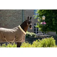 ShowTime Showdeken Velvet Taupe - 195 - Zweetdeken