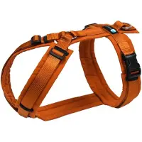AnnyX Anny X tuigje - Maple -roestbruin Y-tuig - maat L - Borstomvang 70-86cm - Gewicht hond 26-38 kg