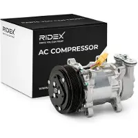 RIDEX 447K0691 Aircopomp