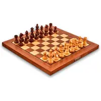 Millennium 2000 Chess Classics Exclusive Board Game Goud Kinderen
