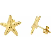 Radiant Ry000135 Oorbellen