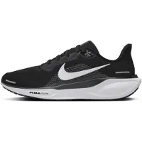 Nike Pegasus 41 Heren