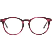 WEB EYEWEAR Web Optical Frame WE5240 083 50
