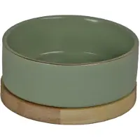Boon Voerbak Hond Groen D 13 H 4,5 Cm