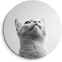 KitchenArt - Silver Whisker – Muurcirkel Binnen - ø 80 cm - Wandcirkel - Mét Ophangsysteem - Wanddecoratie - Muurdecoratie