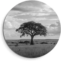 KitchenArt - Lone Horizon - Muurcirkel Binnen - ø 60 cm - Wandcirkel - Mét Ophangsysteem - Wanddecoratie - Muurdecoratie