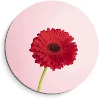 KitchenArt - Rode Gerbera – Muurcirkel Binnen - ø 60 cm - Wandcirkel - Mét Ophangsysteem - Wanddecoratie - Muurdecoratie
