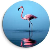 KitchenArt - Blush Reflection - Muurcirkel Binnen - ø 60 cm - Wandcirkel - Mét Ophangsysteem - Wanddecoratie - Muurdecoratie