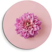 KitchenArt - Zachte Dahlia – Muurcirkel Binnen - ø 100 cm - Wandcirkel - Mét Ophangsysteem - Wanddecoratie - Muurdecoratie