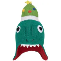Mountain Warehouse Kerstmuts met fleecevoering voor kinderen/Kinderen (Groen)