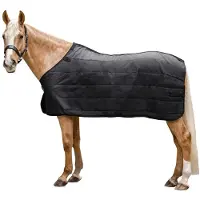 Waldhausen Economic - Onderdeken - 200 gr - Paardendeken - 175 cm - Zwart