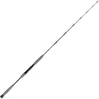 Howk Special One S Jigging Rod Zilver 1.60 m / 200 g