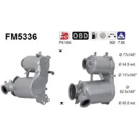 As FM5336 Roetfilter (DPF)