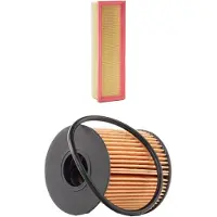 RIDEX 4055F1041 Filterset